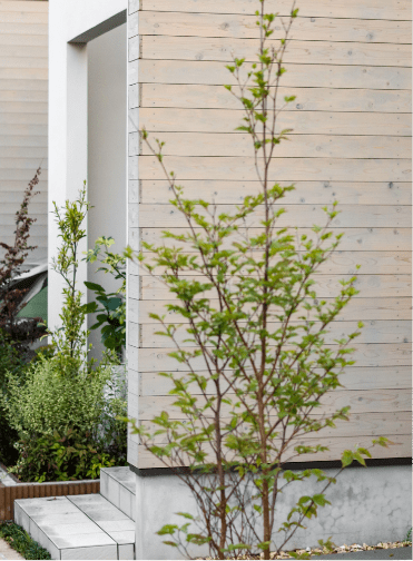 ナチュラルモダンスタイル