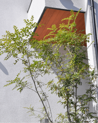 アーバンスタイル